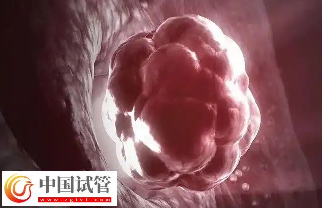 試管嬰兒移植后胚胎多久能著床？(圖1)