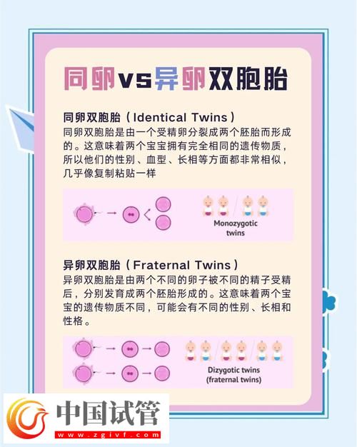 三代試管嬰兒雙胞胎方案詳解(圖1)