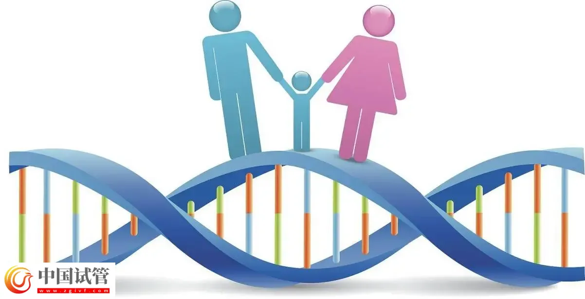 廣州做染色體檢查多少錢?廣東省婦幼保健院約230-3300元左右(圖1) 廣州做染色體檢查多少錢?廣東省婦幼保健院約230-3300元左右(圖1)