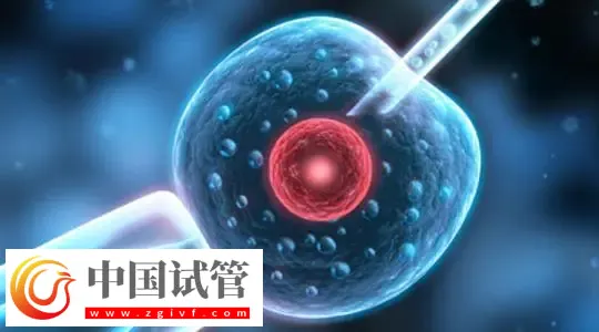 廣州哪家做試管嬰兒可以包懷上的？首選中山大學(xué)附屬第一醫(yī)院(圖1)