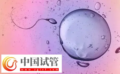 杭州私立醫(yī)院做三代試管怎么樣？附包生男孩費(fèi)用一覽表介紹(圖3)