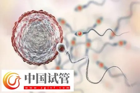 杭州私立醫(yī)院做三代試管怎么樣？附包生男孩費(fèi)用一覽表介紹(圖2)