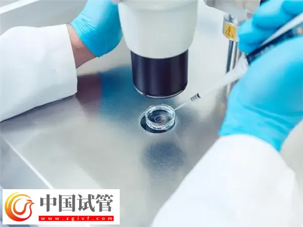 濟(jì)南生殖醫(yī)院排行前十名單匯總:山大齊魯與山東省婦幼保健院都在榜(圖1) 濟(jì)南生殖醫(yī)院排行前十名單匯總:山大齊魯與山東省婦幼保健院都在榜(圖1)