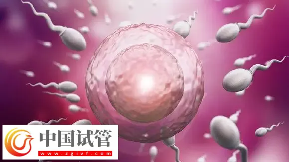 深圳試管助孕怎么樣，附費(fèi)用，流程，機(jī)構(gòu)等信息一覽(圖1)