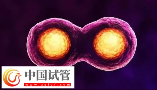 深圳試管助孕怎么樣，附費(fèi)用，流程，機(jī)構(gòu)等信息一覽(圖3)