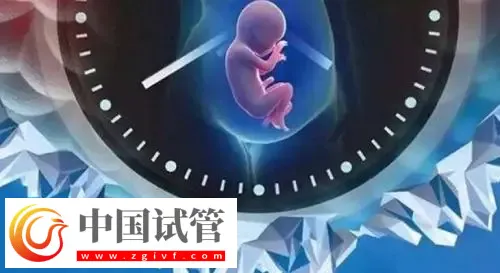 重慶助孕機構名單匯總，附聯系方式與三代包生男孩費用清單(圖1)