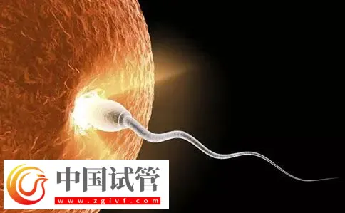 重慶助孕機構名單匯總，附聯系方式與三代包生男孩費用清單(圖3)