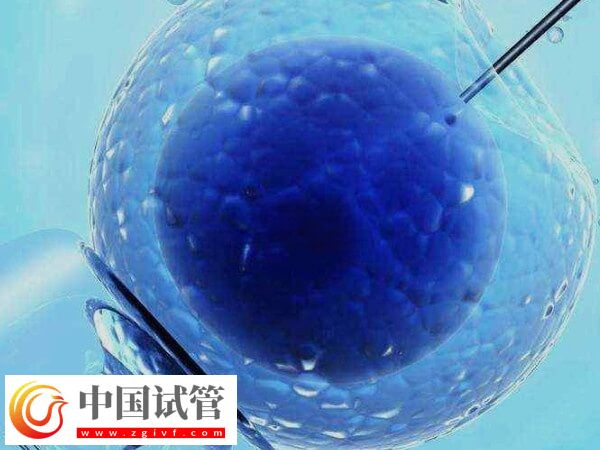 試管嬰兒治療期間可不可以同房(圖1)