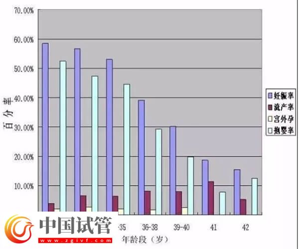 試管嬰兒超過多少歲不建議做(圖1)