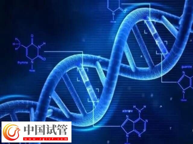 三代試管適合什么人(圖2)
