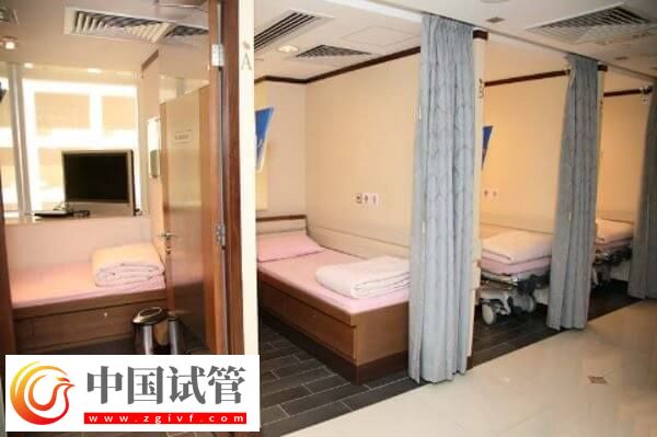 試管懷孕初期注意哪些方面(圖1)