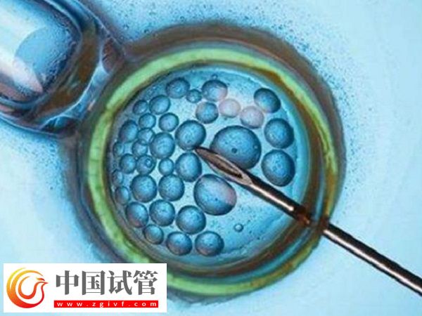 前往長沙做三代試管生孩子多少錢(圖1)