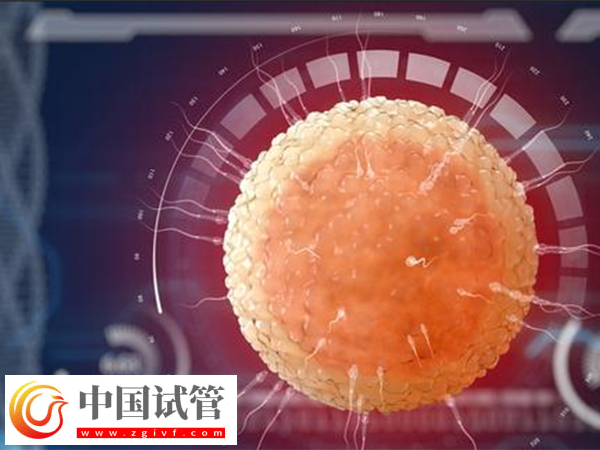 實施供精是否可以選擇長相(圖2)