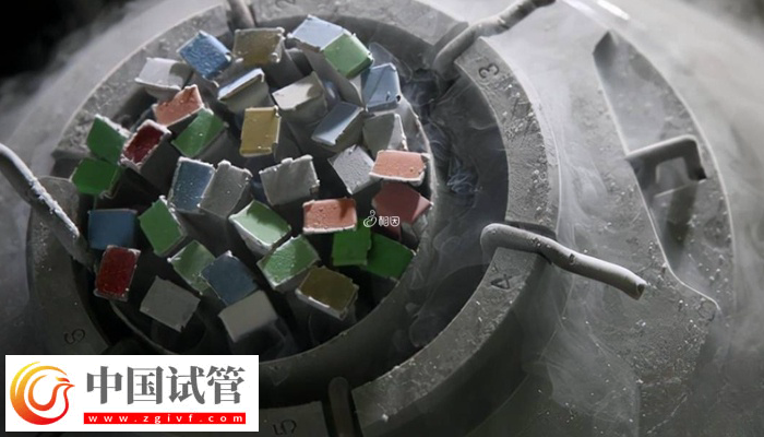 實施供精是否可以選擇長相(圖3)