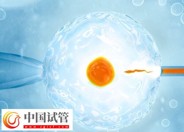 囊胚是4開頭好還是5開頭好(圖1)