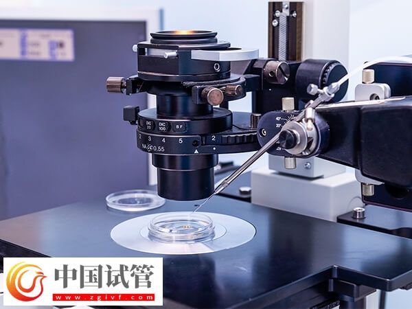 二代試管好還是三代好(圖1)