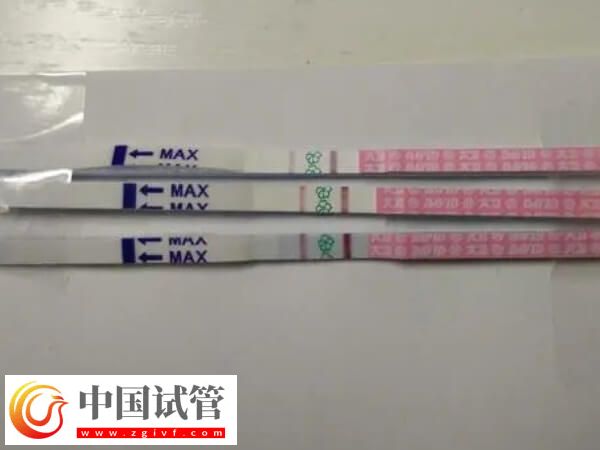 鮮胚移植7天測出來很淡是不是懷孕了(圖1)