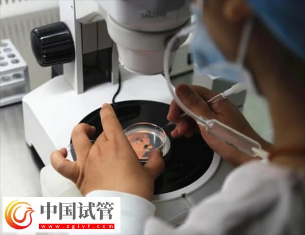 胚胎質量一般是移植還是促排好(圖2)