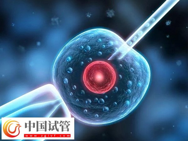 前往俄羅斯做試管合不合法(圖2)