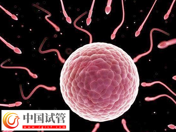 廣州人民醫(yī)院試管費(fèi)用價格表(圖2) 廣州人民醫(yī)院試管費(fèi)用價格表(圖2)