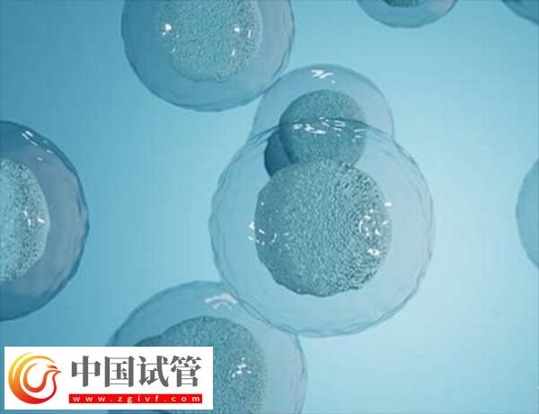 試管怎樣讓卵泡長均勻(圖2)