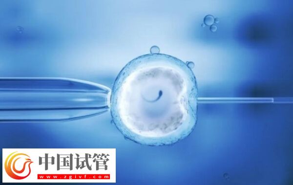 取卵后還有黃體殘留怎么辦(圖2) 取卵后還有黃體殘留怎么辦(圖2)