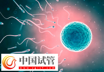 試管嬰兒取卵后怎么有效保養卵巢(圖1)