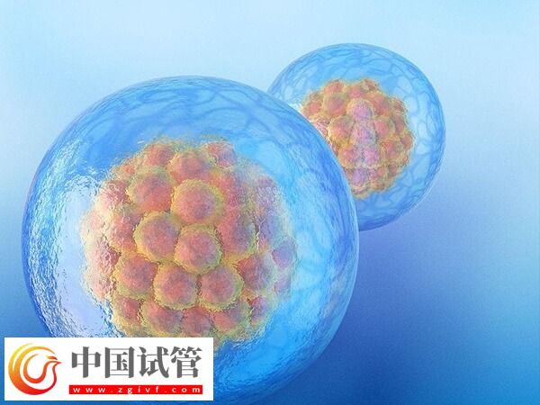 做試管一般取卵幾個(圖1)