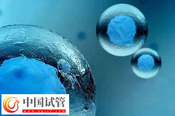 前往泰國做試管移植凍胚和囊胚是否一樣(圖3)