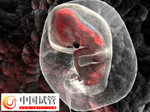 泰國試管嬰兒技術(shù)好不好(圖1) 泰國試管嬰兒技術(shù)好不好(圖1)