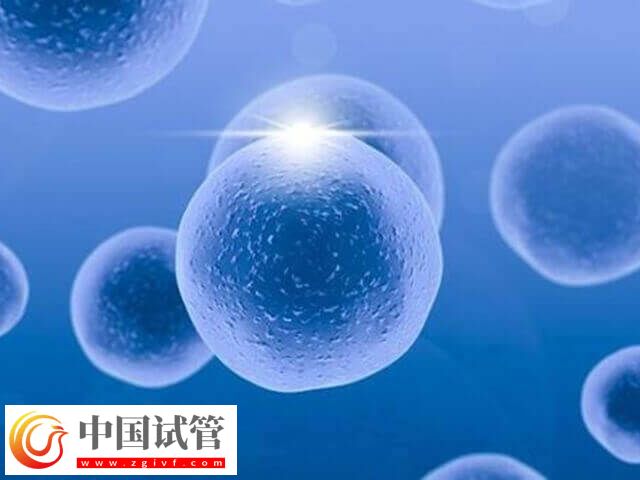 三分鐘教你高效看懂甲功五項化驗單，FT4高低可看甲亢甲減(圖1)