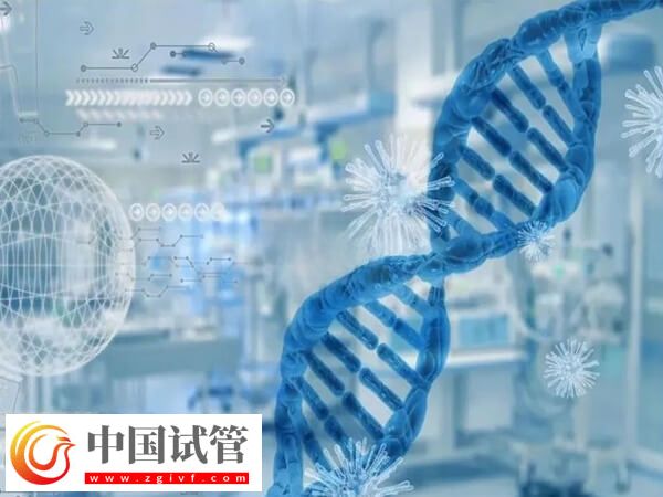 cep290基因突變做試管有沒有用(圖2) cep290基因突變做試管有沒有用(圖2)