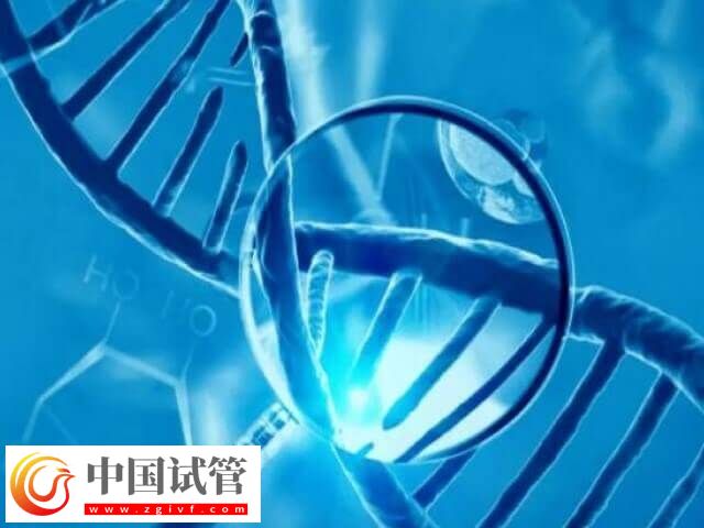 cep290基因突變做試管有沒有用(圖1) cep290基因突變做試管有沒有用(圖1)