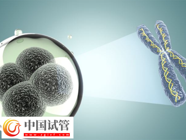 女性內膜13b是否可以移植囊胚胚胎(圖1)