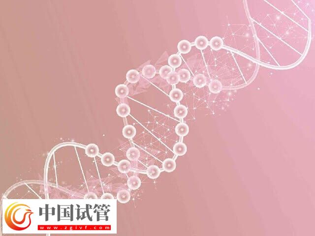 CCDC39基因突變能不能做試管(圖2)