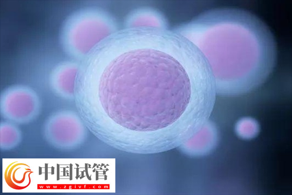 浙大一院試管嬰兒好不好(圖2)