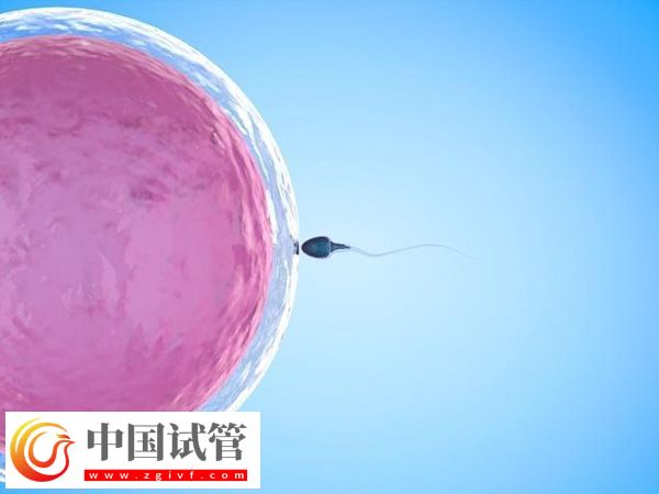 在義烏能不能做試管嬰兒(圖2)