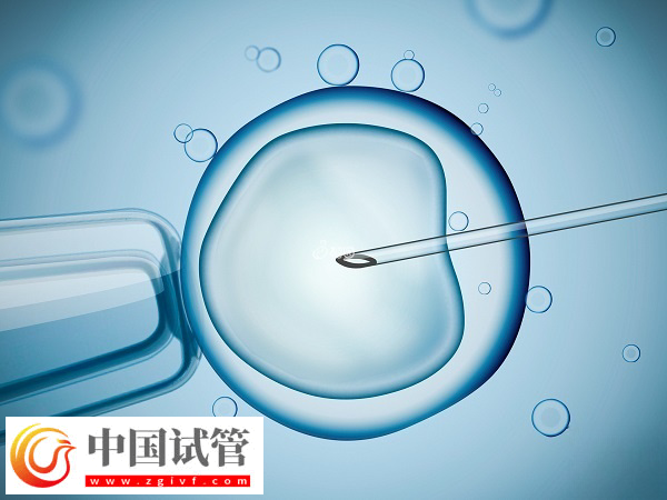 夫妻去美國(guó)做試管怎么選擇醫(yī)院(圖1)