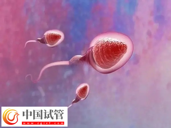 試管嬰兒是不是從試管中出來的(圖1)