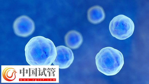 去泰國做試管有沒有受騙的(圖1) 去泰國做試管有沒有受騙的(圖1)