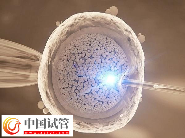 前往北京做試管費用是多少(圖1)