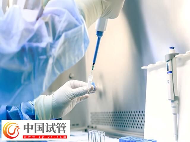 精子質量差做試管成功率多少(圖2)