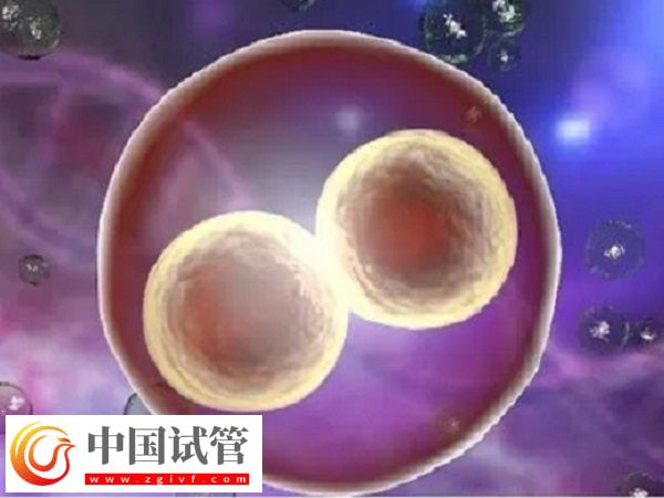 浙江溫州附二醫試管好不好(圖2)