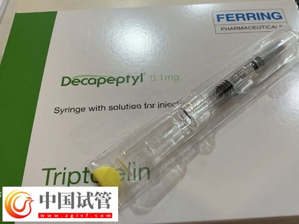 試管長方案跟短方案哪個好(圖1)