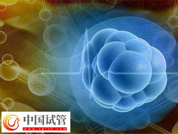 女性卵巢早衰對移植有無影響(圖2)