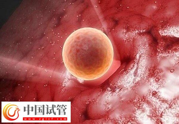 卵巢早衰amh值0.08試管能不能成功(圖2)