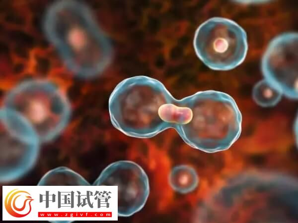 黃體期促排效果怎么樣(圖3)