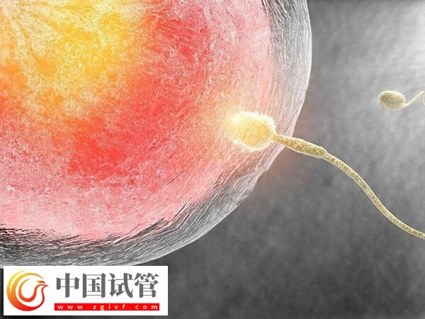 供精人工受孕需要什么手續(圖2)