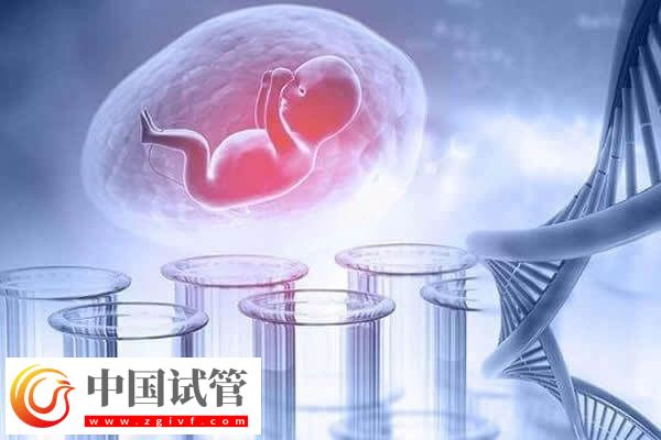 做試管嬰兒要建檔后才能進入促排卵周期嗎？(圖1)