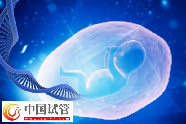 如何解讀胚胎篩查結果報告單(圖2)